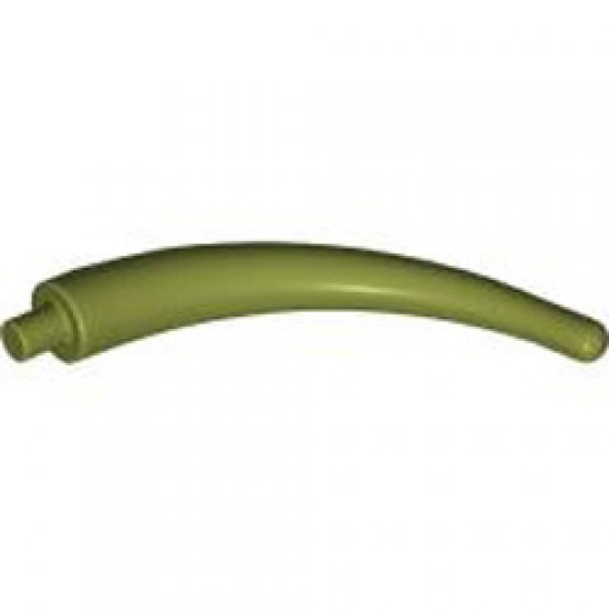 Tip of the Tail Diameter 6.47 Olive Green